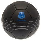 Fotbalový míč Everton FC 