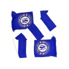 Šála Chelsea FC