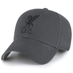 Kšiltovka Liverpool FC